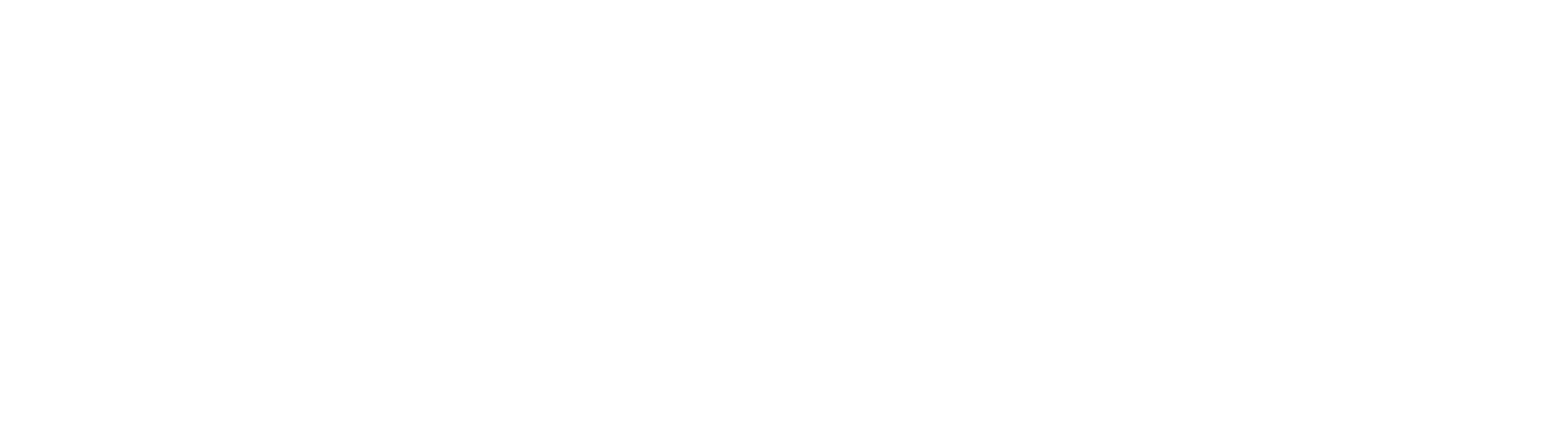 Macron Logo